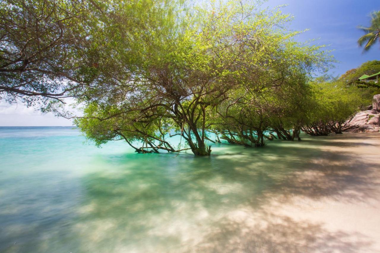 Koh Tao Relax Freedom Beach Resort Dış mekan fotoğraf