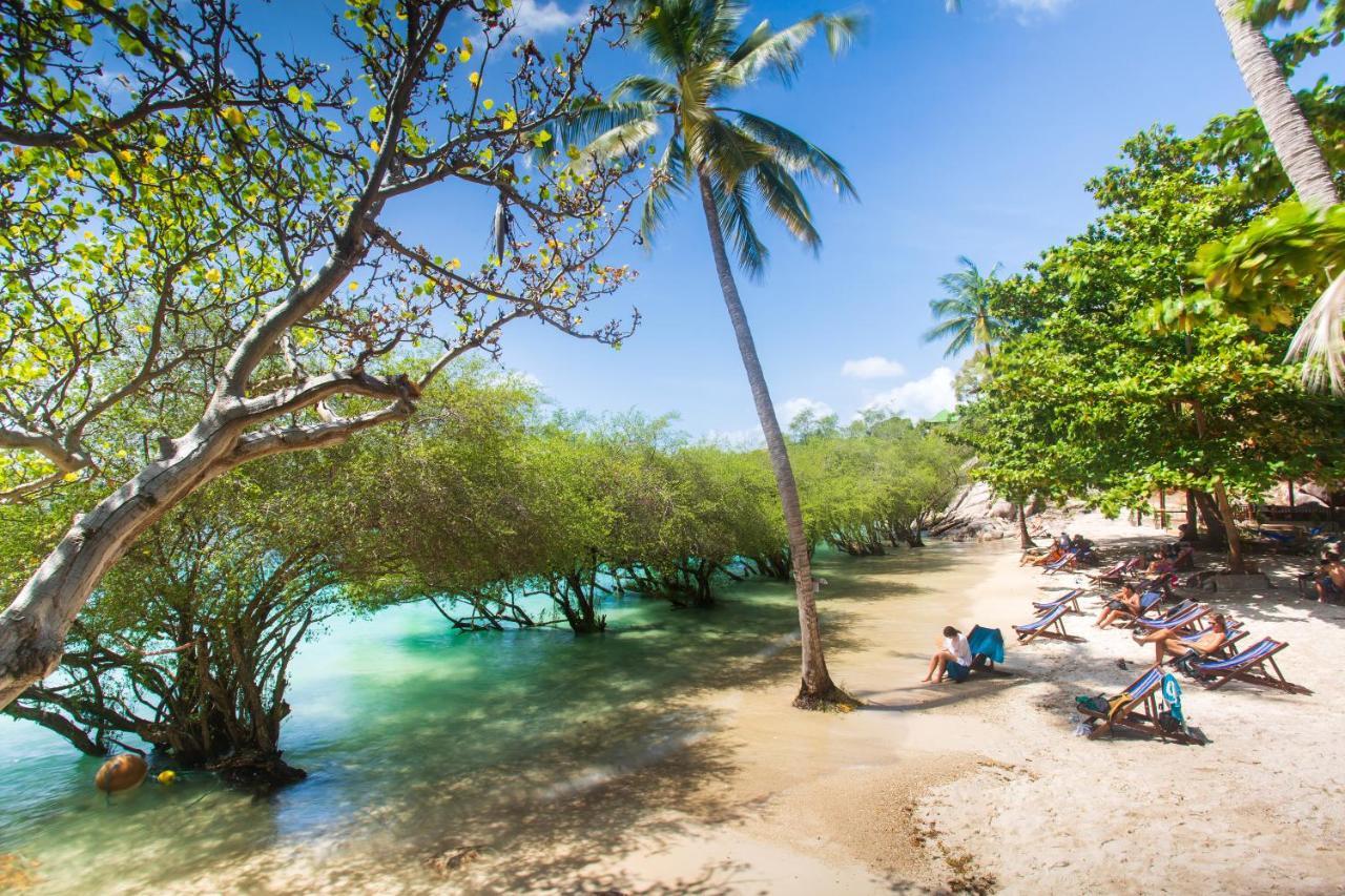 Koh Tao Relax Freedom Beach Resort Dış mekan fotoğraf