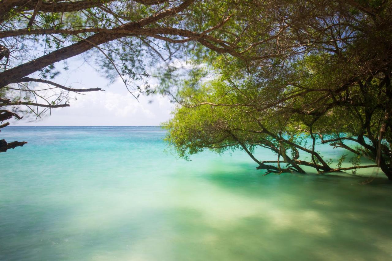 Koh Tao Relax Freedom Beach Resort Dış mekan fotoğraf